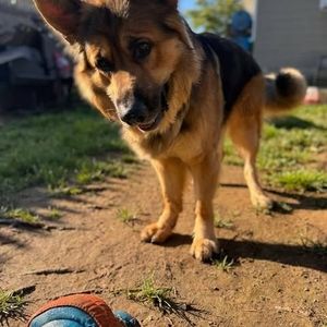 Meet your Posher, Ang